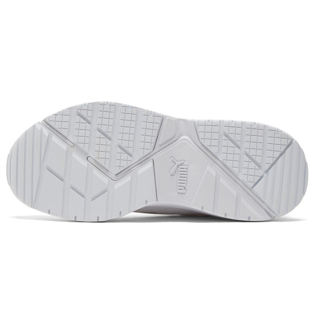 Puma X-Ray