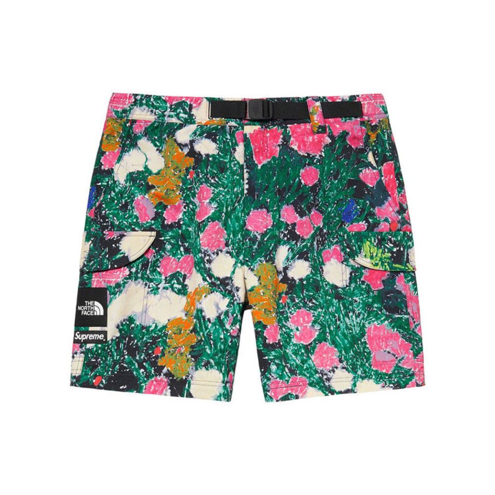 Supreme SS22 Week 16 x The North Face Trekking Zip-off Belted Pant