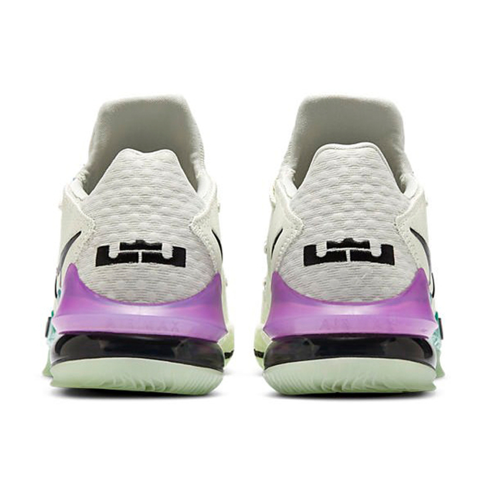 Nike Lebron 17