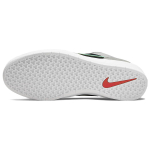 Nike SB Force 58