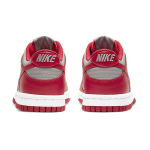 Nike Dunk Medium Grey