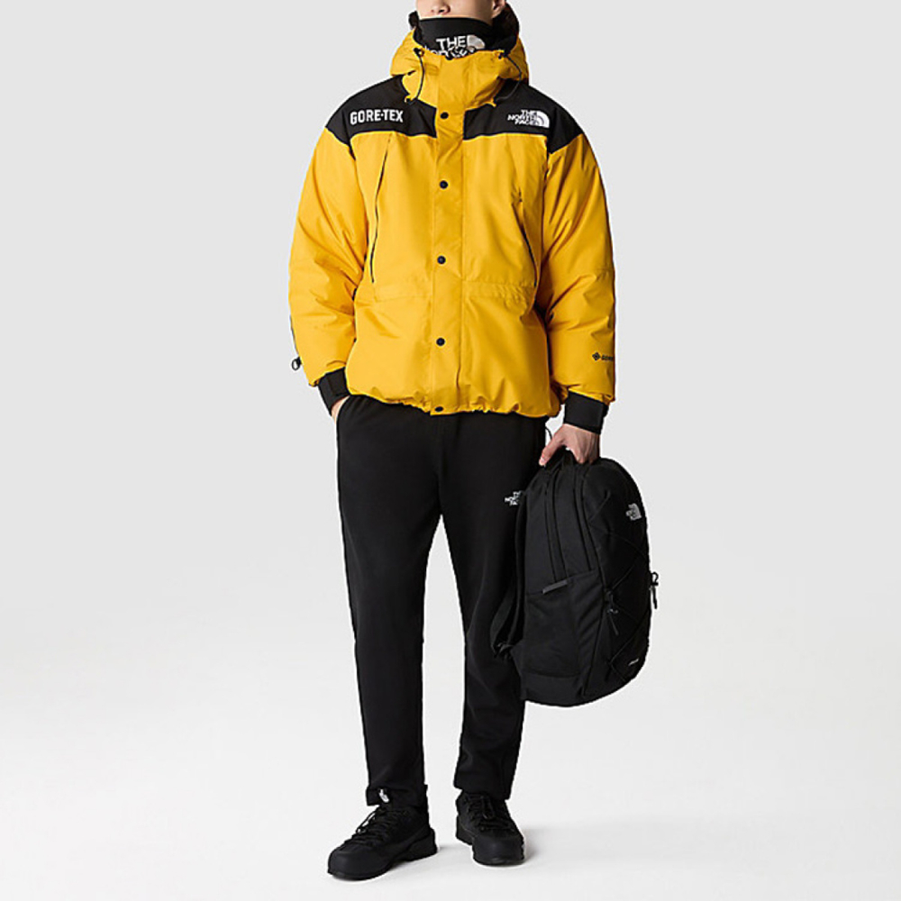 /THE NORTH FACE GTX mountain jacket