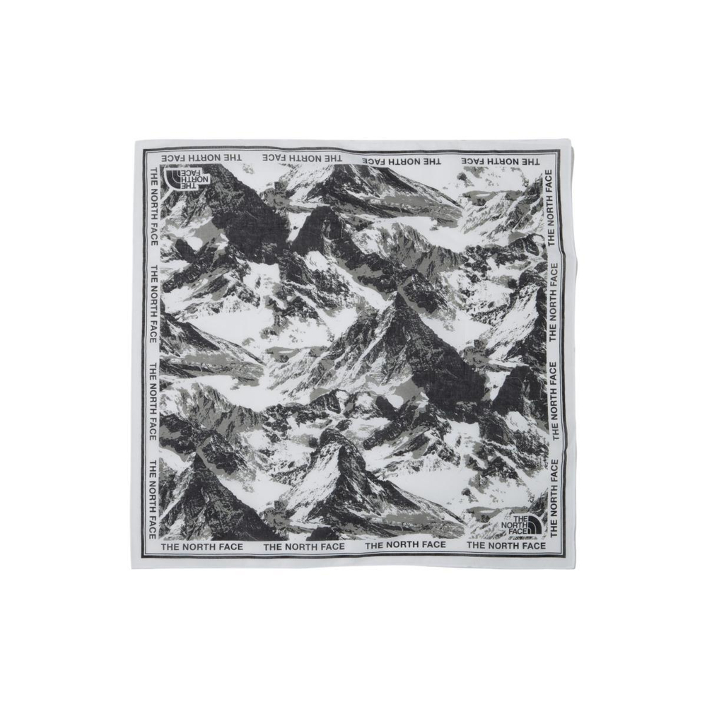 THE NORTH FACE