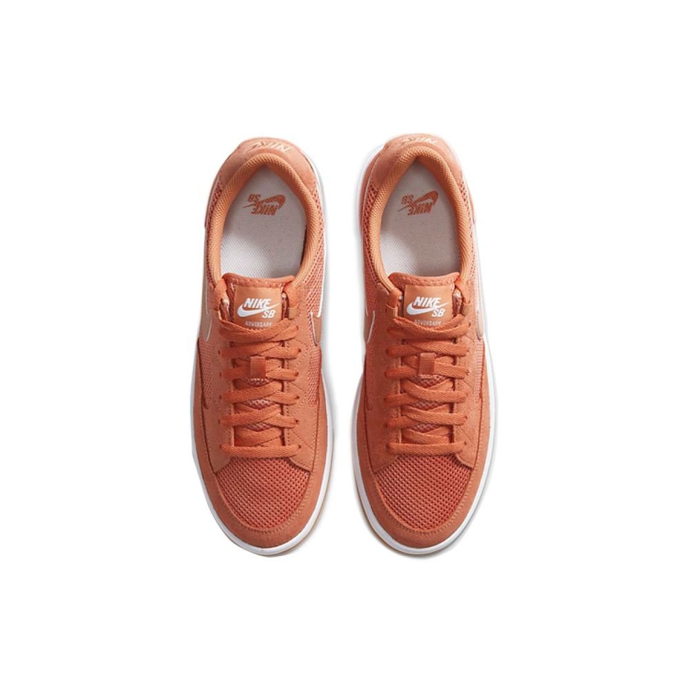 Nike SB Adversary