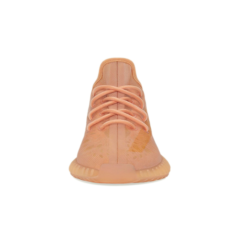 Adidas originals Yeezy Boost 350 V2 "Mono Clay"