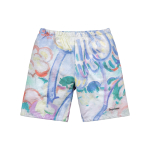Supreme SS18 Landscape Sweatshort Multicolor