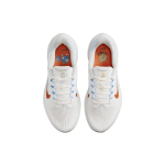 Nike Zoom Winflo 9