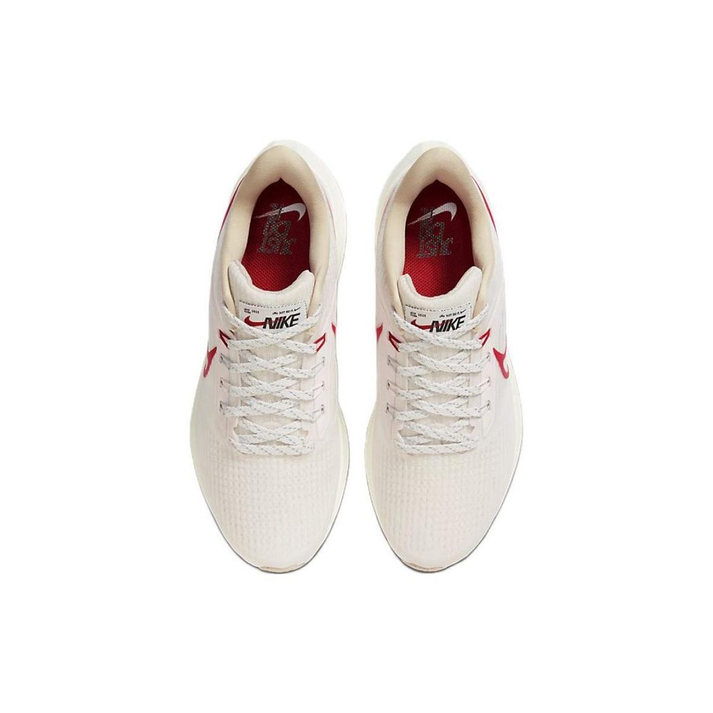 Nike Air Zoom Pegasus 39