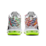 Nike Lebron 17