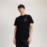 Tommy Hilfiger T