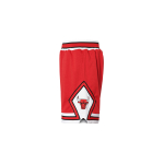 Mitchell & Ness NBA AU 97