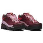 The Broken Arm SALOMON Sense Ride 4 X-Alpages GTX TBA