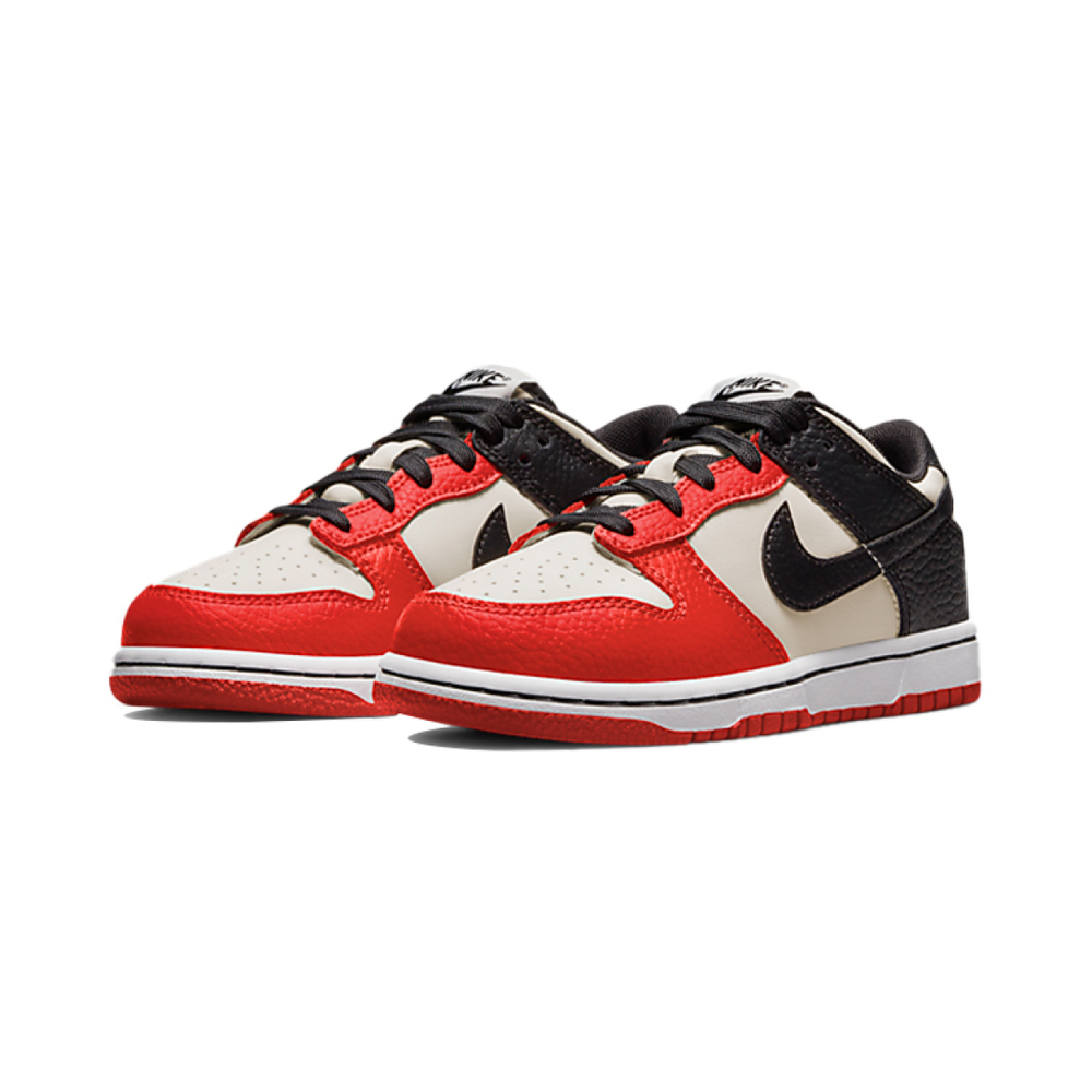 NBA x Nike Dunk
