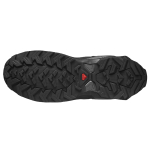 Salomon X Raise 2 Gore-Tex