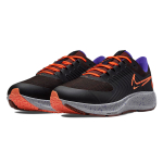 Nike Pegasus 38