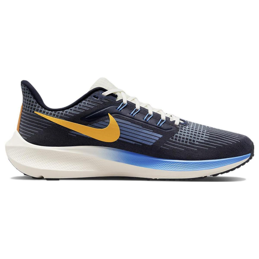 Nike Air Zoom Pegasus 39