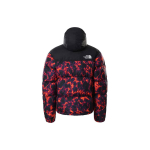 THE NORTH FACE 1996 Retro nuptse 700