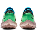Nike Pegasus Trail 2