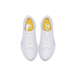 Nike Pegasus turbo 2
