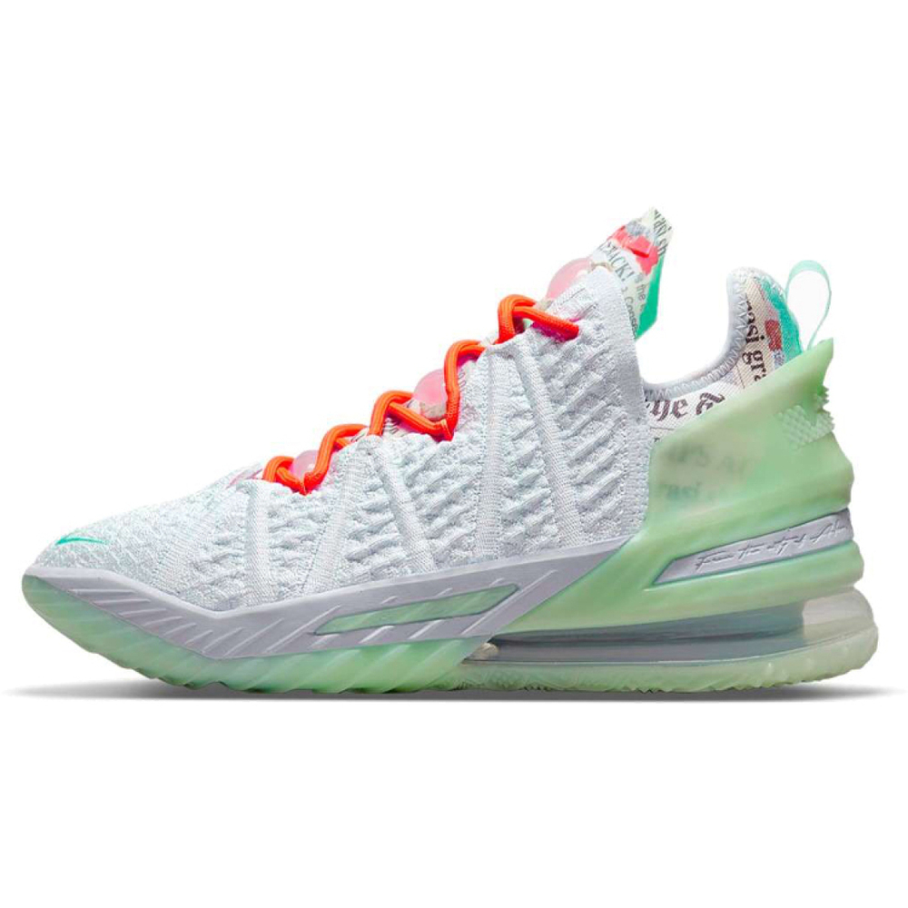 Diana Taurasi x Nike Lebron 18 Goat 18