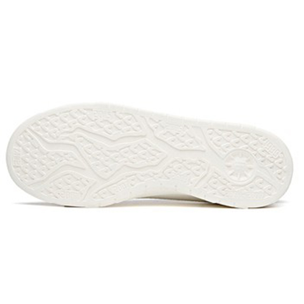 Anta