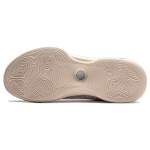 LiNing EVOLUTION LOW