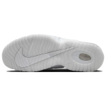 Nike Air Max Penny 1 "Pure Platinum"