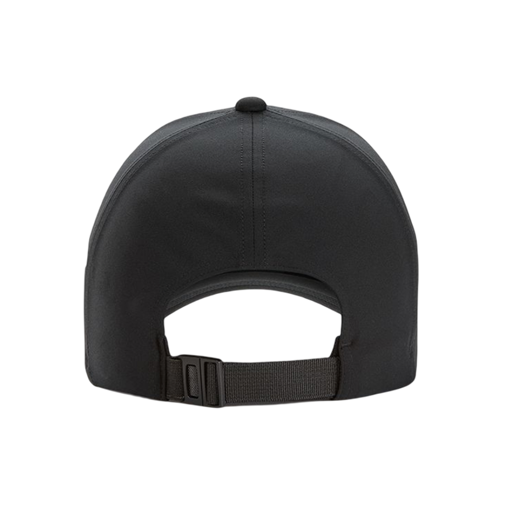 Arcteryx Logo / /