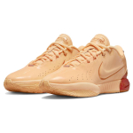 Nike Lebron 21 "Melo Melo"