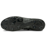 PUMA Future AG（ ）FG（ ）