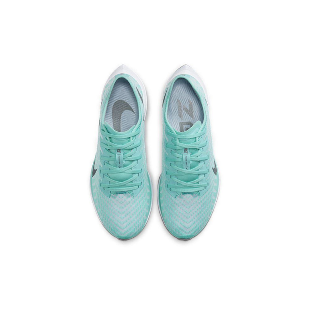 Nike Pegasus turbo 2