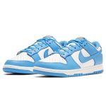 Nike Dunk "Coast"