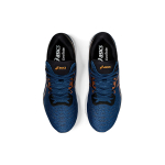Asics EvoRide