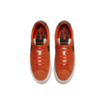 Nike Blazer Pro GT