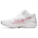 Asics Gel-Hoop V15