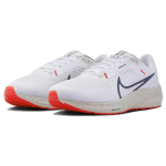 Nike Air Zoom Pegasus 40