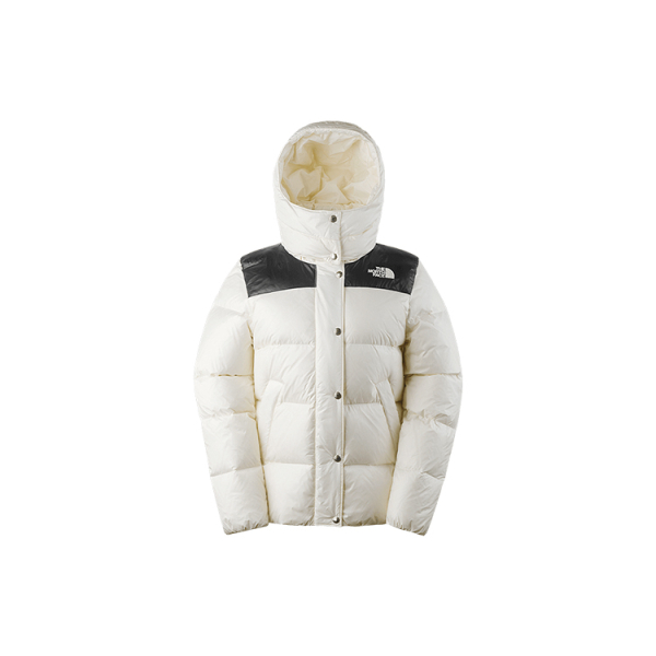 /THE NORTH FACE Logo 700