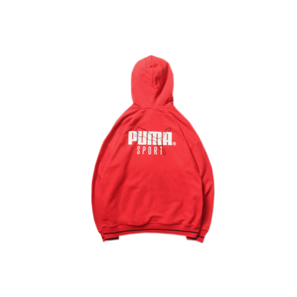 Puma TFS Hoodie logo