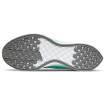 Nike Pegasus turbo 2