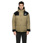 THE NORTH FACE dryvent Logo