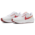 Nike Air Zoom Pegasus 39