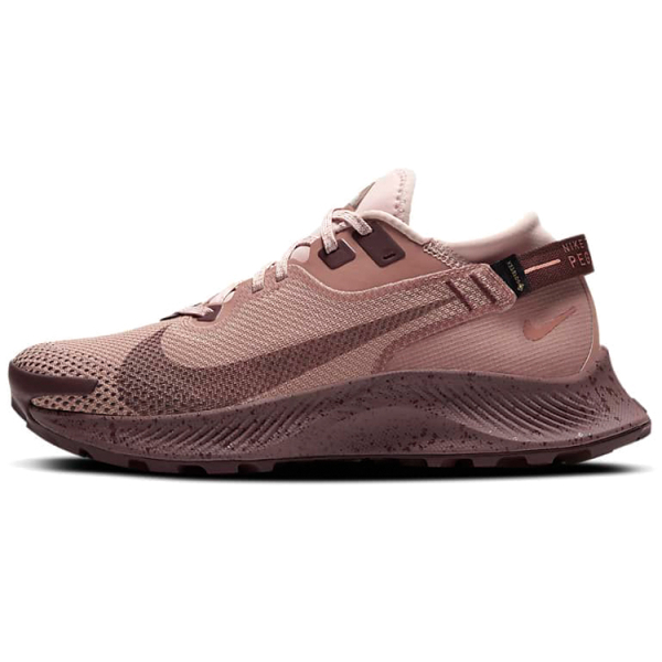 Nike Pegasus Trail 2 GORE-TEX