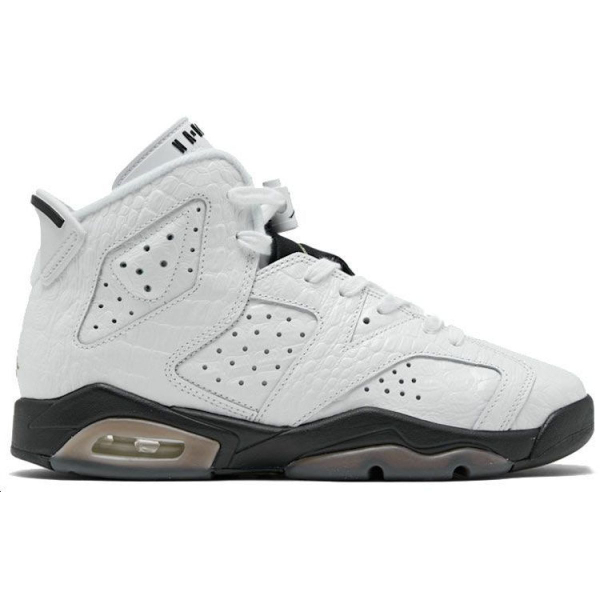 Jordan Air Jordan 6 “Alligator”