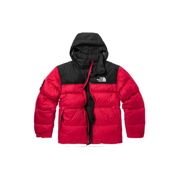 THE NORTH FACE 1992 30 Logo