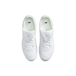 Nike Premier 3 FG（ ）
