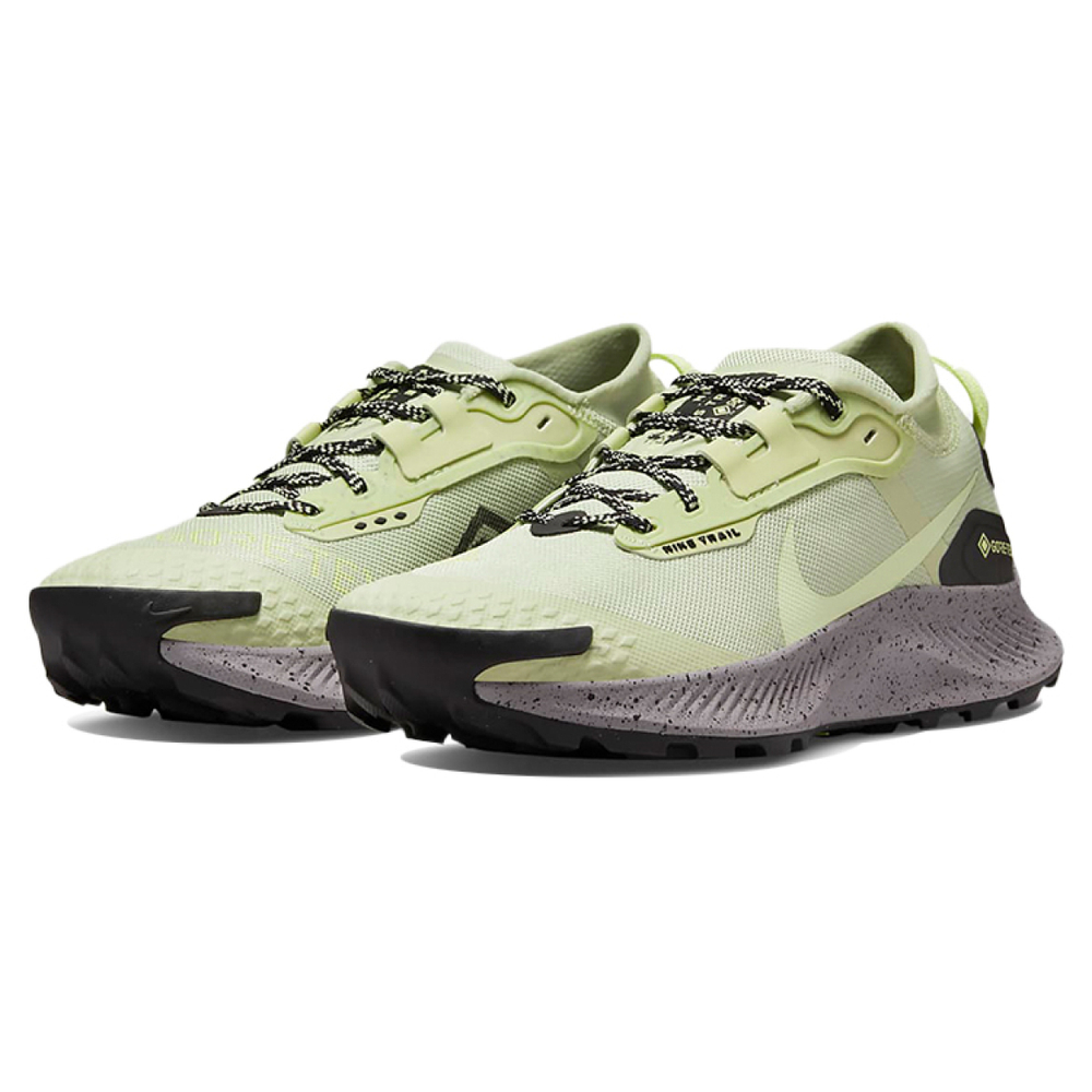 Nike Pegasus Trail 3 GTX