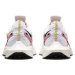 Nike Pegasus Turbo Next Nature
