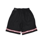 Air Jordan HBR Short