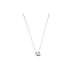 Swarovski Iconic Swan （ ）
