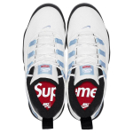 Supreme x Nike SB Darwin